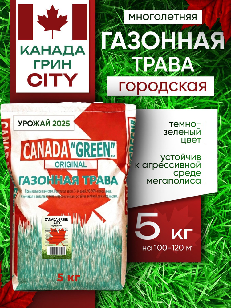 Газонная трава семена Канада Грин, травосмесь Городская 5 кг / Canada Green City 5 кг / райграс, мятлик, #1