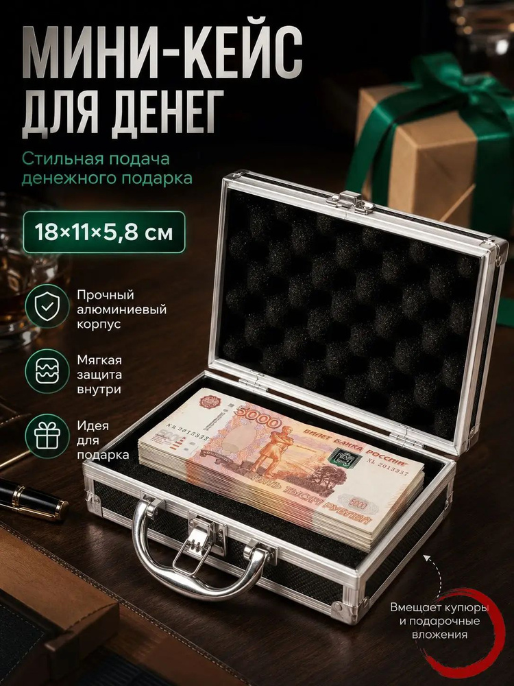 Чемодан-кейс для денег мини #1