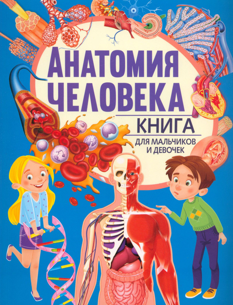 Анатомия человека. Книга для мальчиков и девочек - купить с доставкой ...