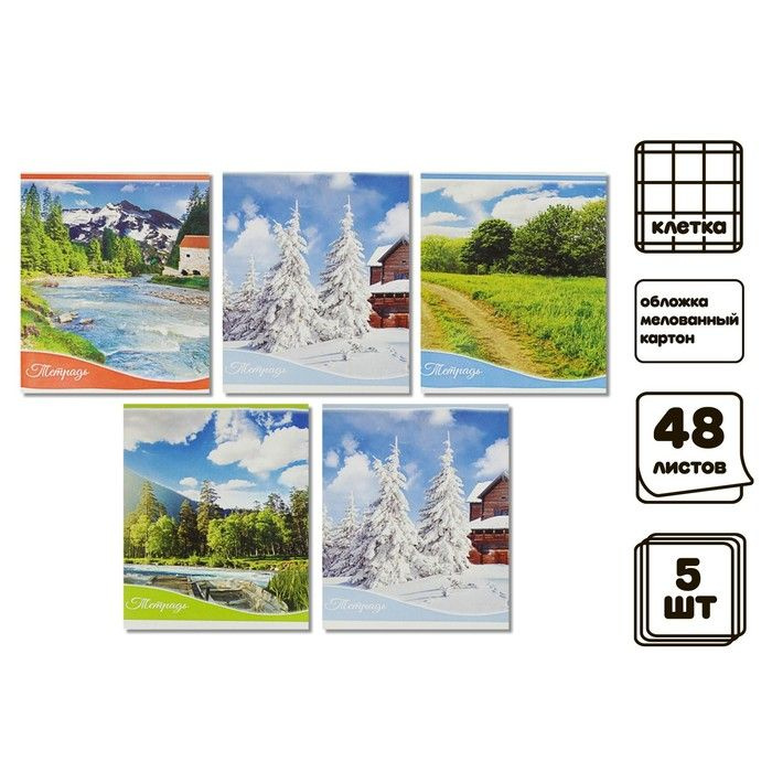 Комплект тетрадей из 5 штук (4 разные + 1 повторяющаяся), 48 листов, клетка, "Времена года", обложка #1