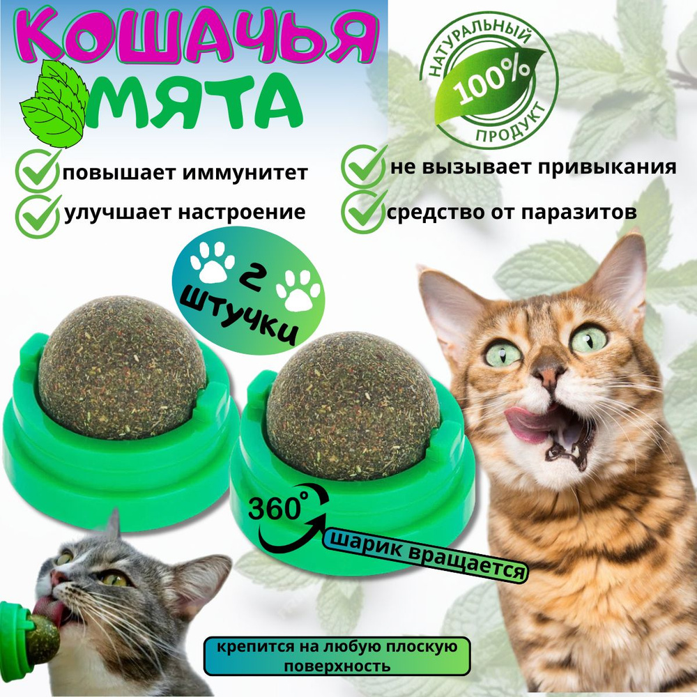 Кошачья мята, игрушка-лакомство для кошек, шарик с кошачьей мятой на стену,  2 штуки