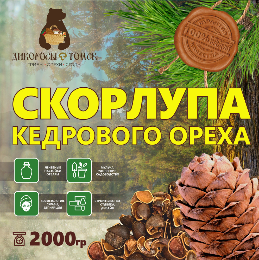 Косметология, скрабы, депиляция Скорлупа кедрового ореха 2000гр. - купить с  доставкой по выгодным ценам в интернет-магазине OZON (1363442361)