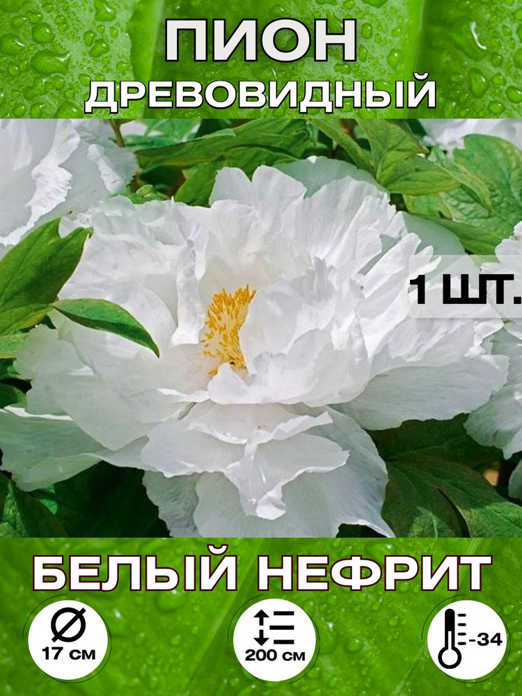 Magic Blooming Garden Семена ,1шт #1