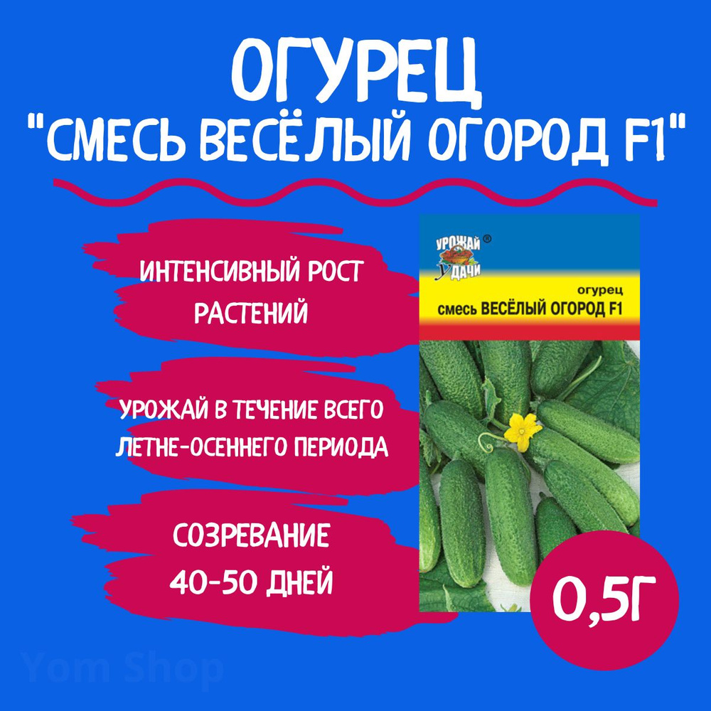 Огурцы Урожай удачи огурцов f1, огурцов для теплиц, огурцов для открытого  грунта, огурцов для теплиц и грунта, огурцов для засолки, огурцов  апрельский f1, огурец для посадки, рассада огурцы - купить по выгодным