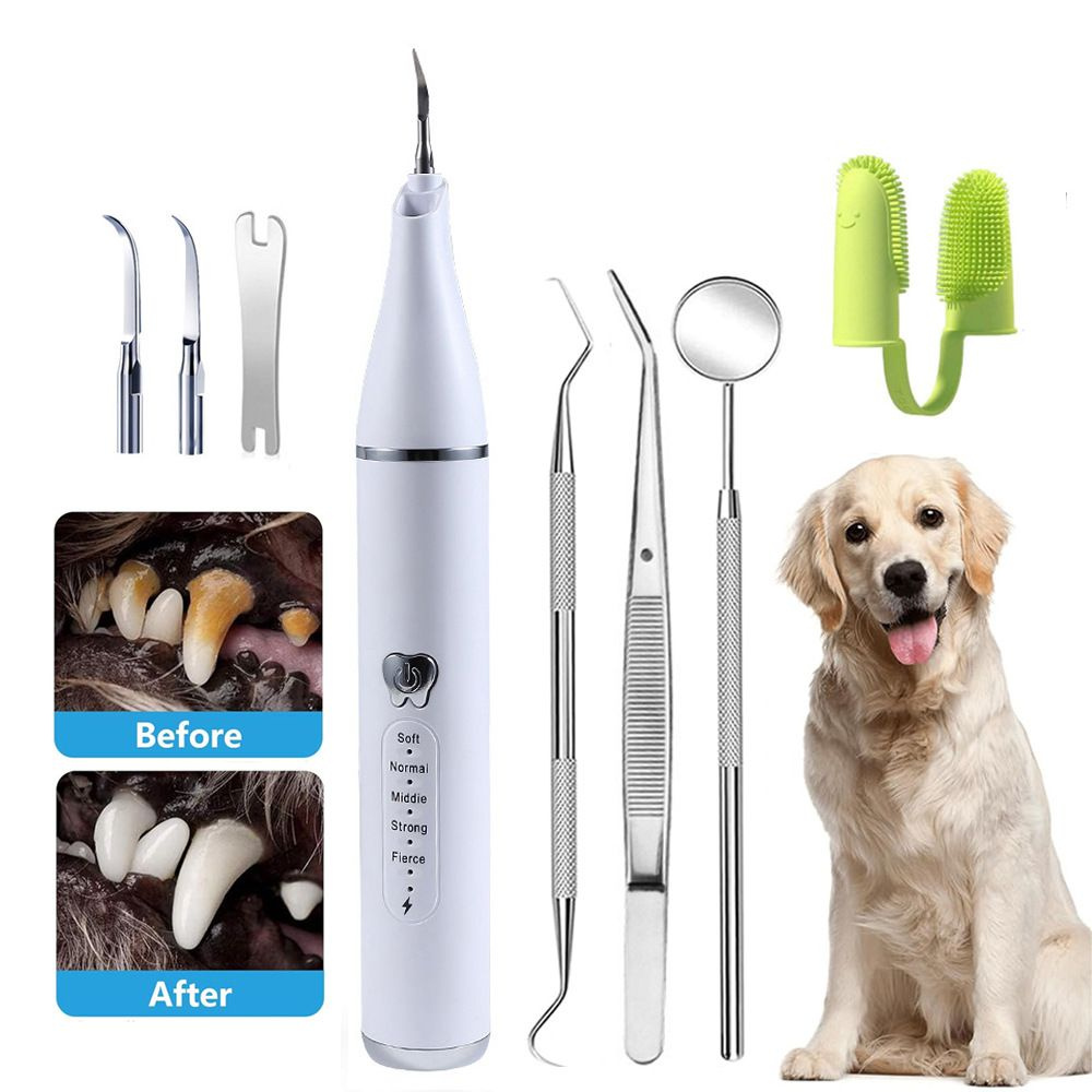 Зубная щетка для собак / Ультразвуковой скалер для удаления зубного ...
