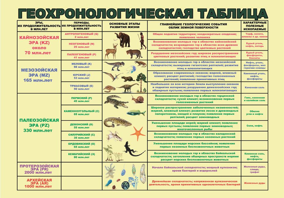 Плакат "Геохронологическая таблица" винил, формат 100х70 см - купить с ...
