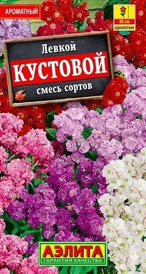 Семена Левкой Кустовой, смесь сортов (0,1 г) - Агрофирма Аэлита  #1