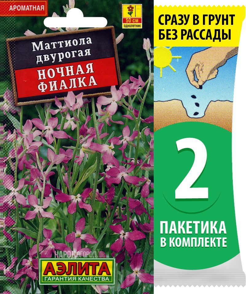 Семена Маттиола двурогая Ночная Фиалка, 2 пакетика по 0,5г/650шт  #1