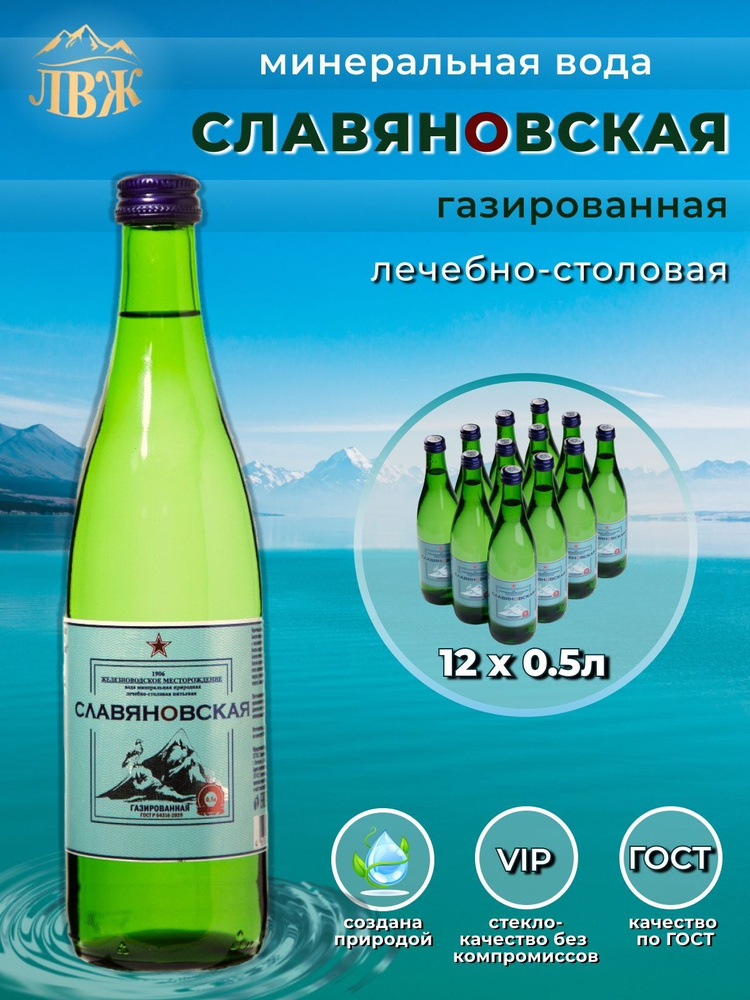 ЛВЖ Вода Минеральная Газированная 500мл. 12шт #1