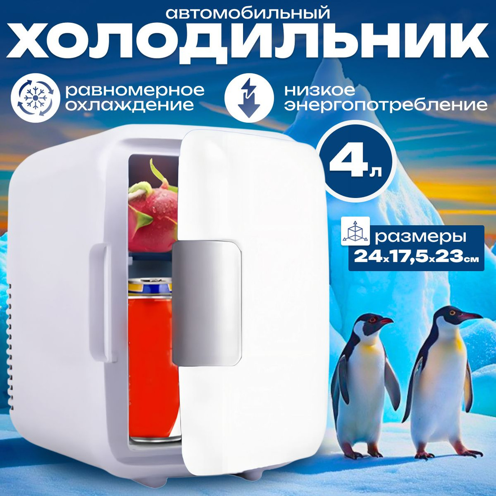 Мини-холодильник для пикника автомобильный / холодильник для пикника ...
