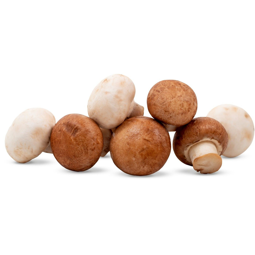 Грибы ЛЕНТА FRESH шампиньоны Микс, 400г - купить с доставкой по ...