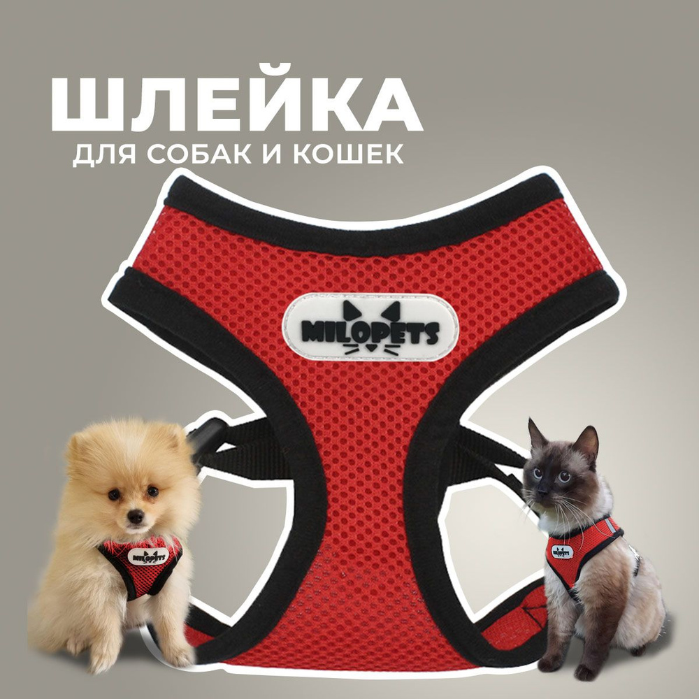 Шлейка для собак и кошек анатомическая MiloPets, с поводком 120 см, обхват  груди S 26-32 см, цвет красный - купить с доставкой по выгодным ценам в  интернет-магазине OZON (589273046)