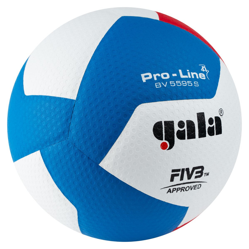 Мяч волейбольный GALA Pro-Line 12 FIVB, BV5595S, размер 5 #1