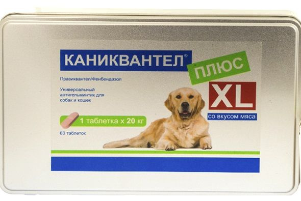 Каниквантел плюс XL антигельминтик для крупных собак, 1 таблетка/20 кг 60 табл.  #1