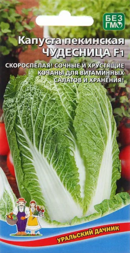 Капуста пекинская Чудесница семена 0,1 г - 2 шт #1