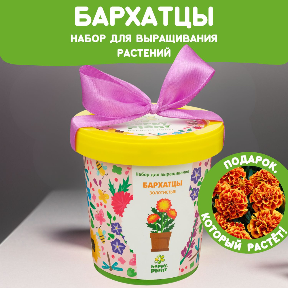 Набор для выращивания Happy Plant Бархатцы Золотистые, семена комнатных цветов в подарочном горшке  #1