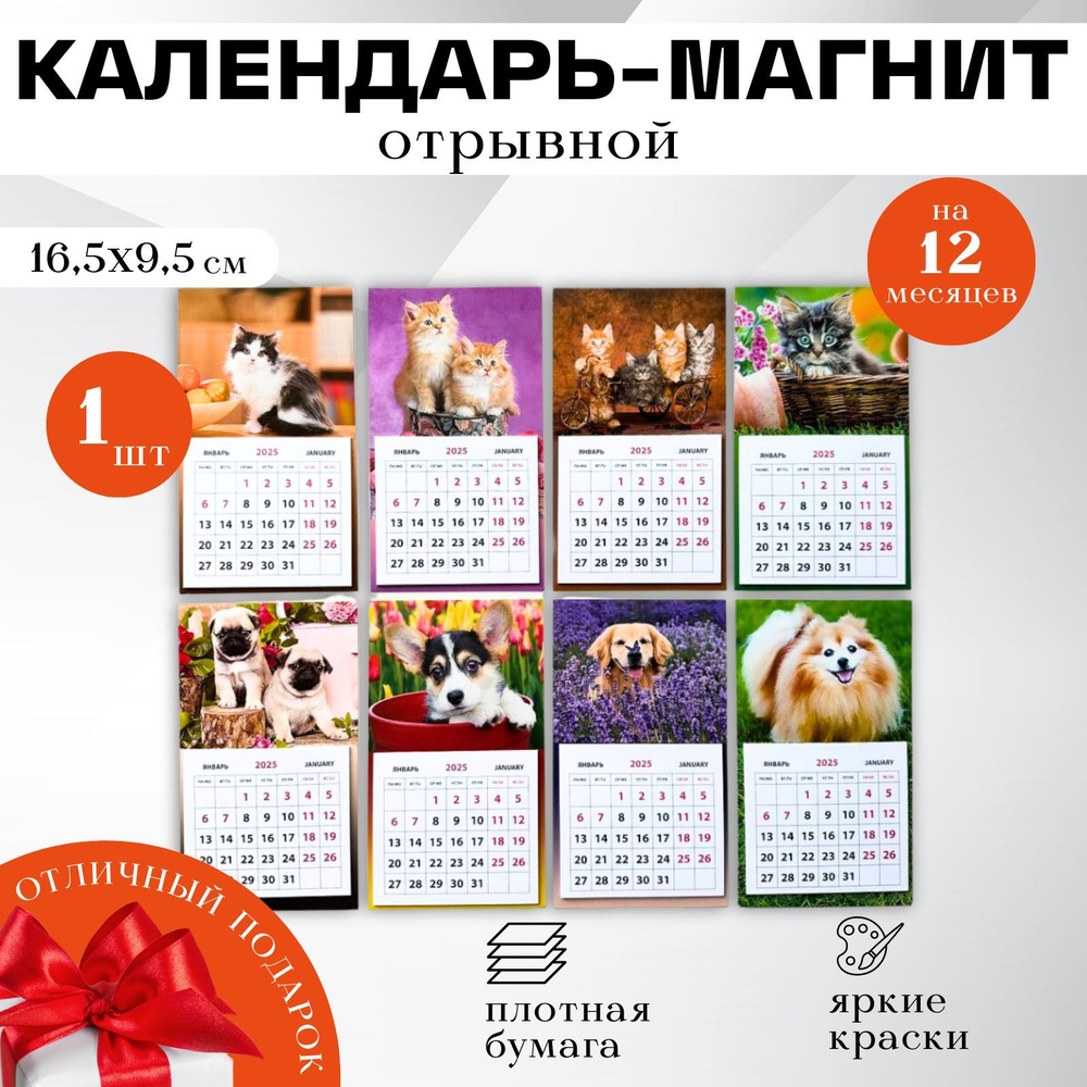 Календари Shop Календарь 2025 г., Магнитный #1