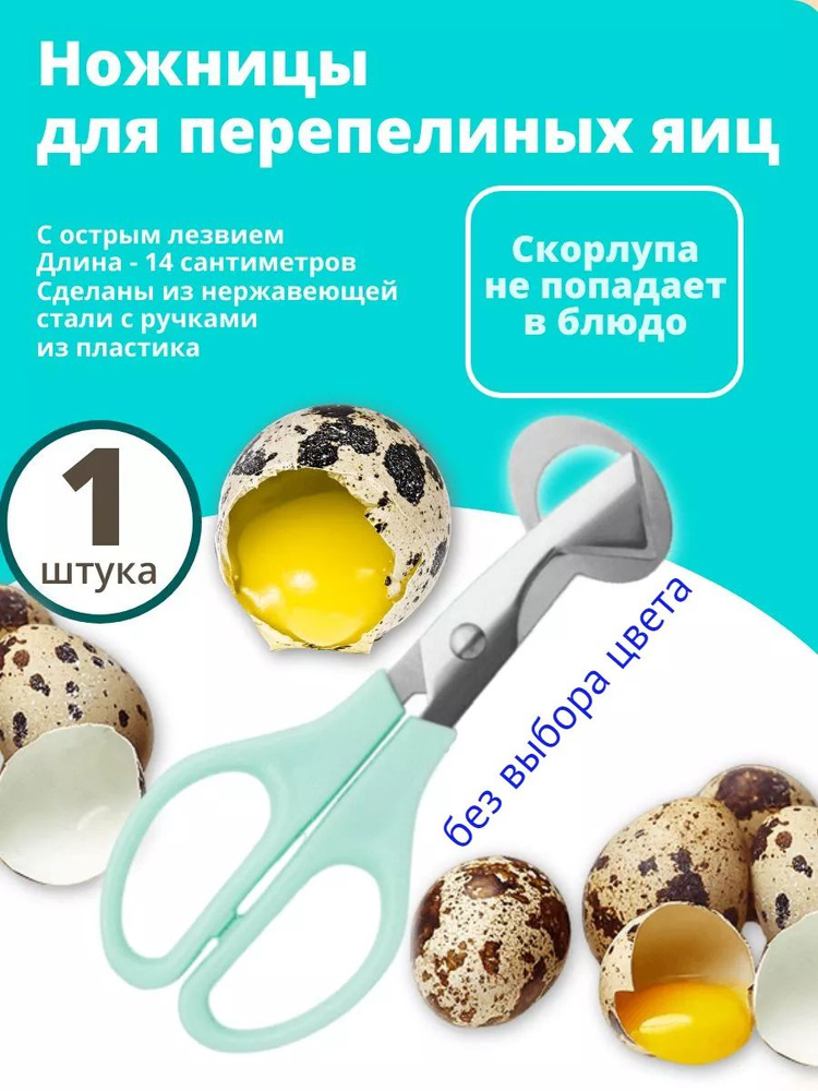 Ножницы кухонные универсальные, 15 см #1