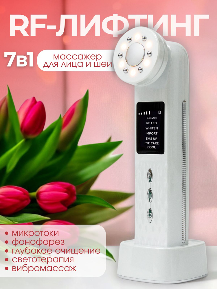 Wie Groß Ist Ein Modellauto 1 24 Микротоки xkTgBXFrMv38o_X_9f купить на OZON по низкой цене (2050024118)