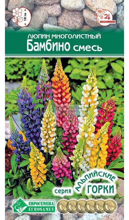 Люпин многолистный БАМБИНО, смесь (10 шт) #1