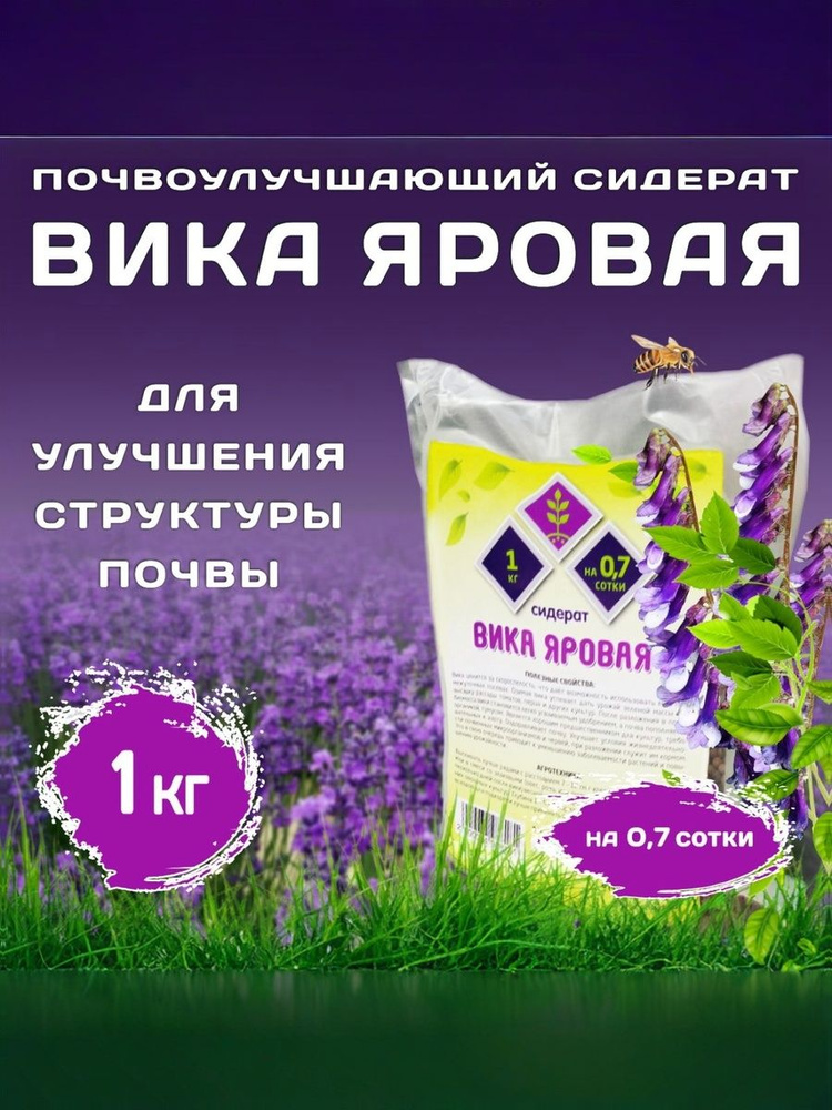 Орыс порно видео Үлкен кеуделі лесбияндық бейнелер