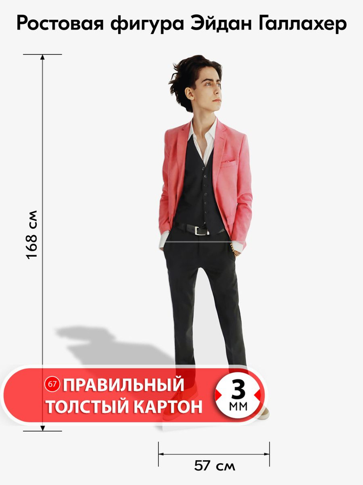 Аксессуар для фотосессий, Эйдан Галлахер, ростовая фигура #1