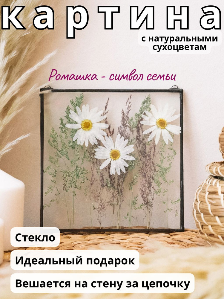 Панно на стену с сухоцветами Ромашки и травы "Forget-me-not" Гербарий в стекле / 15*15 см / черная рама #1