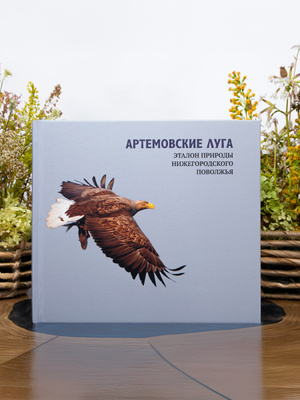 Winx jinsiy aloqa animatsiya