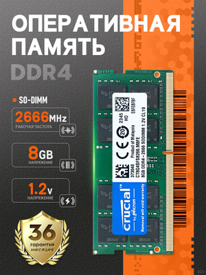 Crucial 8 GB DDR4 Sdram 2666 купить на OZON по низкой цене