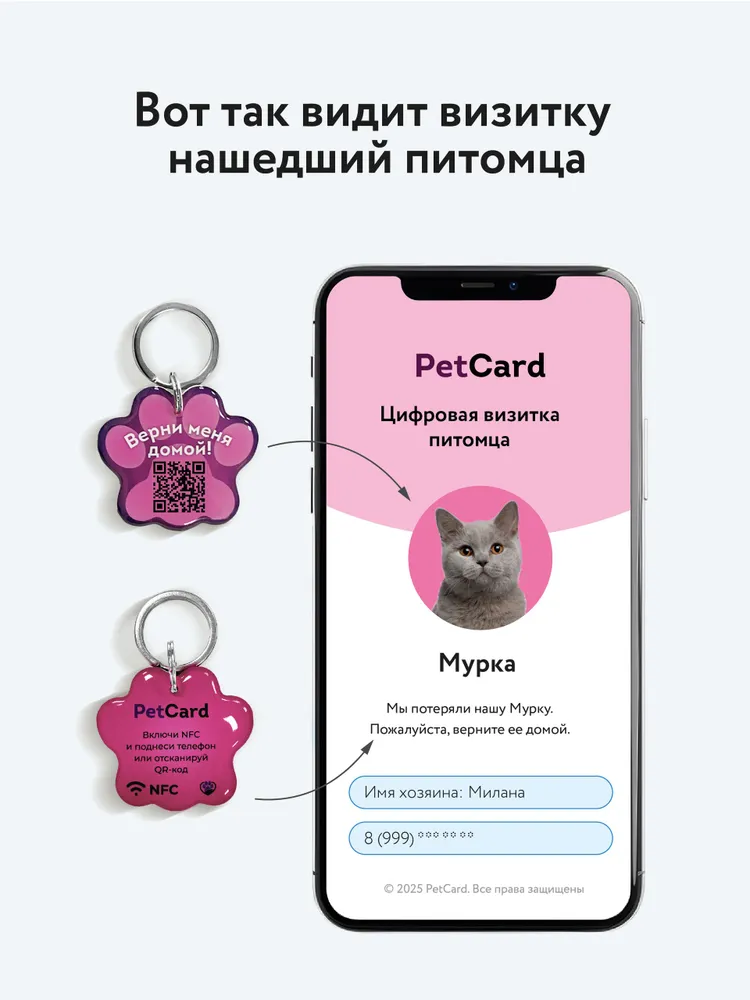 Адресник для собак и кошек с QR кодом и NFC, PetCard, голубой., розовый, фото 5
