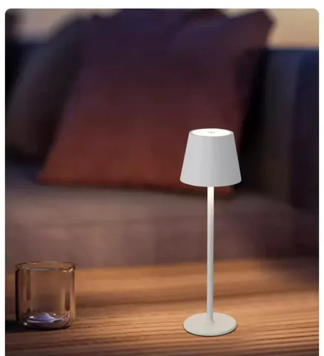 Заряжаемая бутылка лампы