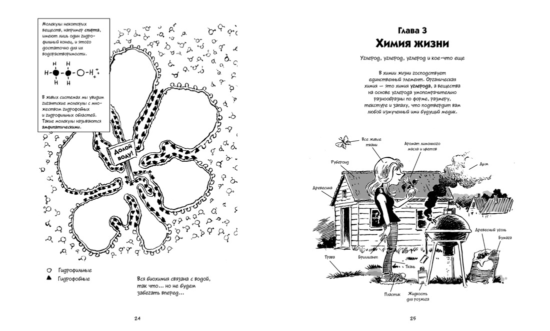 Биология. Краткий курс в комиксах | The Cartoon Guide to Biology - Ozon image 6