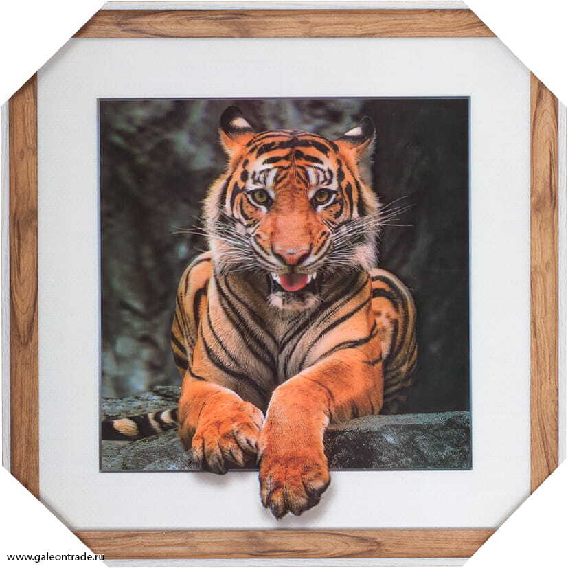 Картина 5D 40 х 40 см, Тигр Картина 5D 40 х 40 см, Тигр