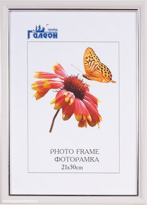 Фоторамка пластиковая 21 х 30 см, 1503B-012AL2