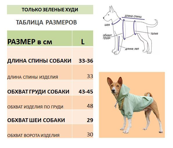 таблица размеров одежды для собак мелких пород чихуахуа. вес щенка голден ретривера по месяцам таблица. Rukka одежда для собак размерная сетка. обхват шеи английского кокер спаниеля. длина спины у амстаффа.