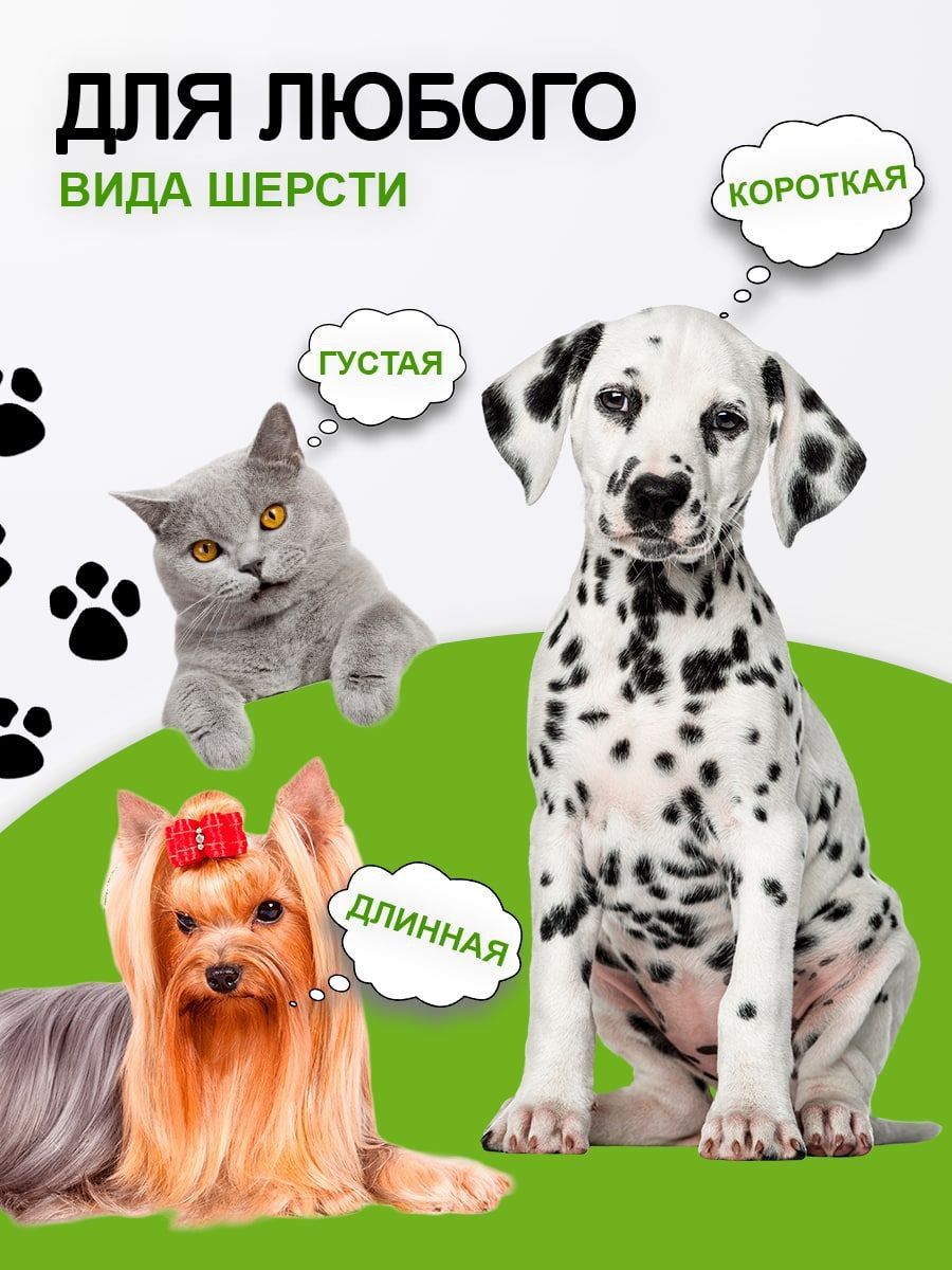 Текст при отключенной в браузере загрузке изображений