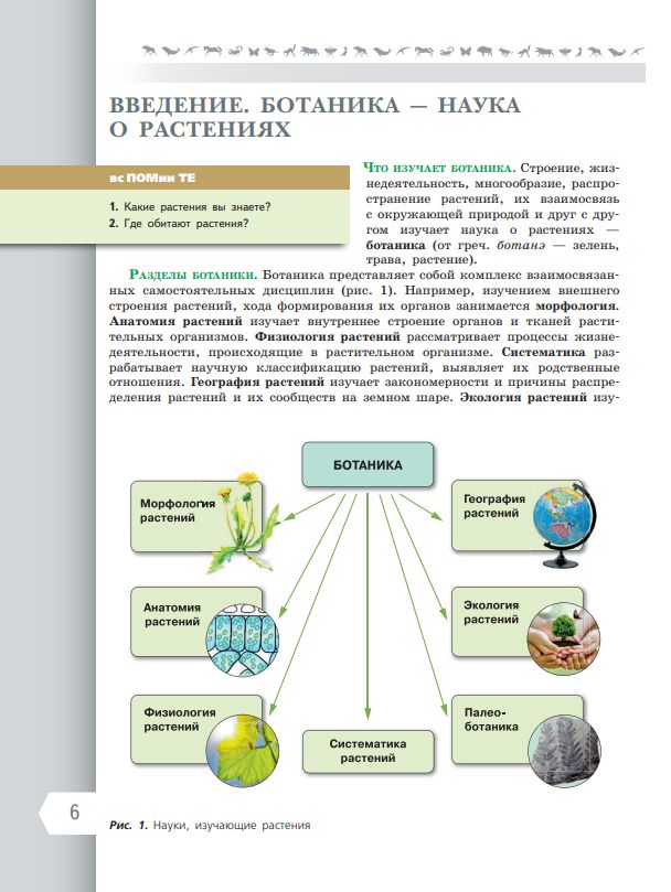 Биология. 6 класс. Базовый уровень. Учебник ФГОС | Reference Book - Ozon image 3