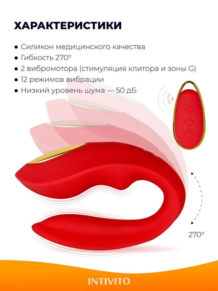 Анатомия женских половых органов - Центр лапароскопии в Москве