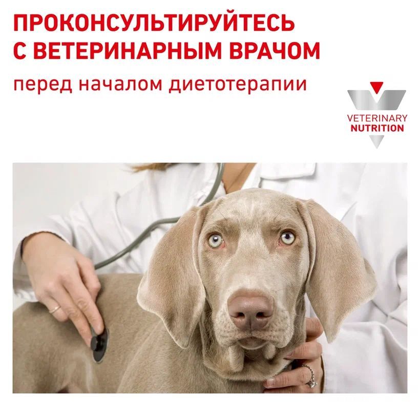 Royal canin 2024 sensitivity control