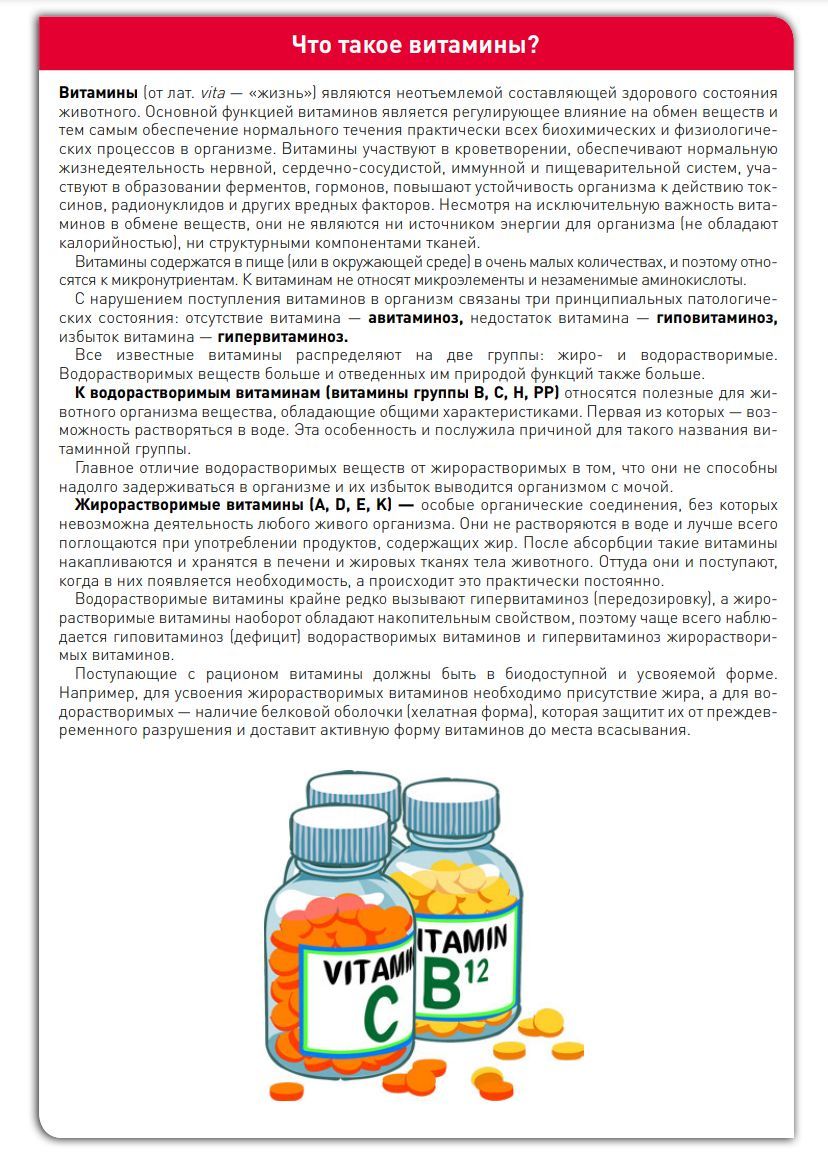 Beaphar ( Беафар ) Кормовая добавка Vitamine B Complex для всех животных,  Витамин 50 мл. - купить с доставкой по выгодным ценам в интернет-магазине  OZON (1154563809)