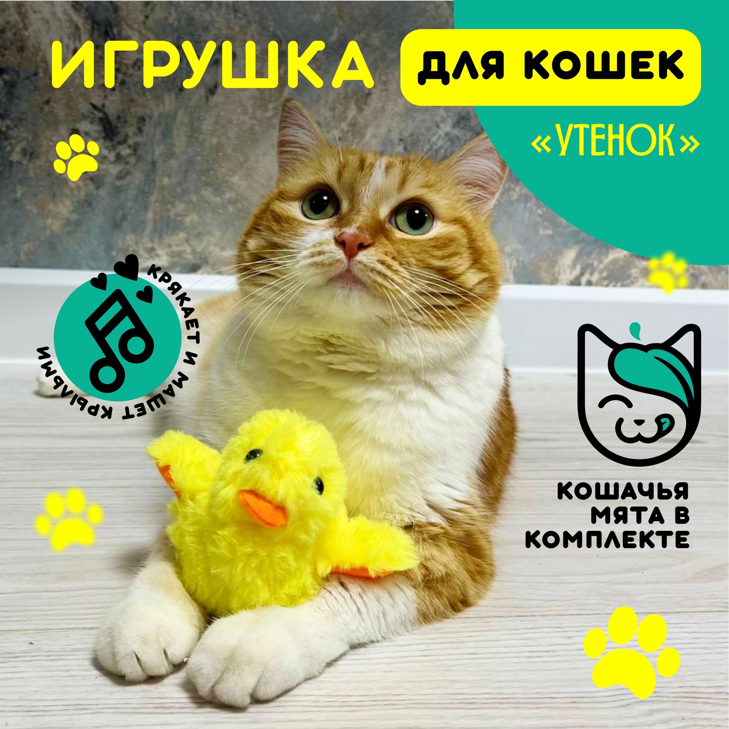 Игрушки для кошек: виды, выбор