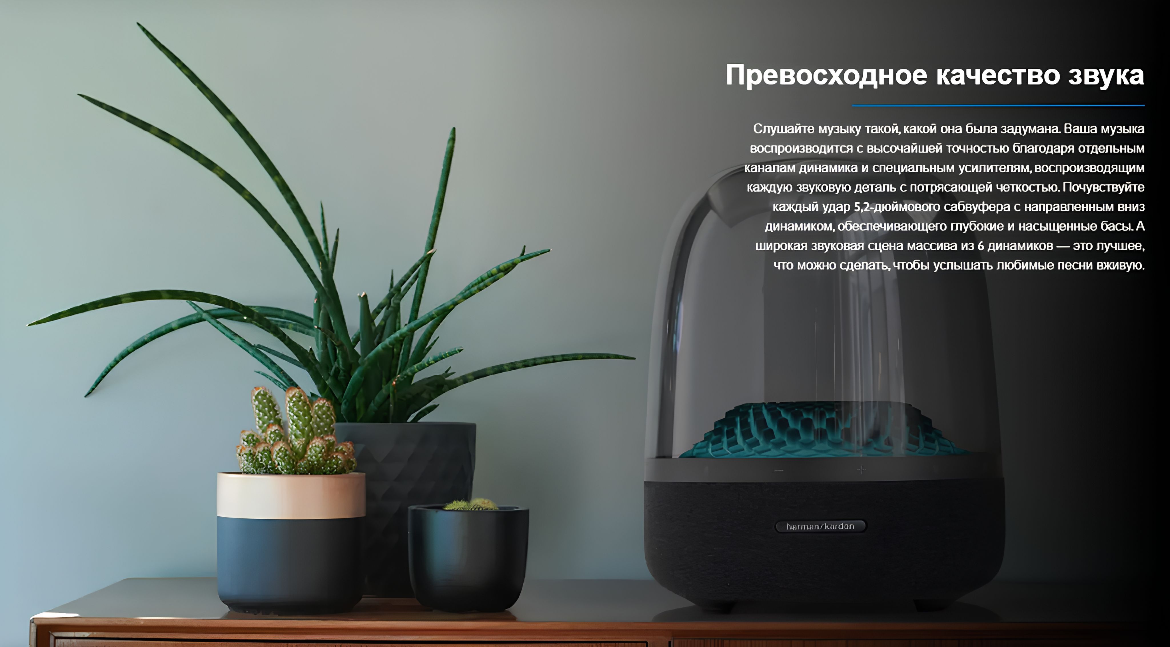 Беспроводная колонка Aura Studio 4 - купить по доступным ценам в ...