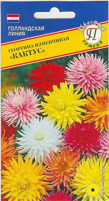 Георгина изменчивая Кактус 20 шт, семена Престиж #1