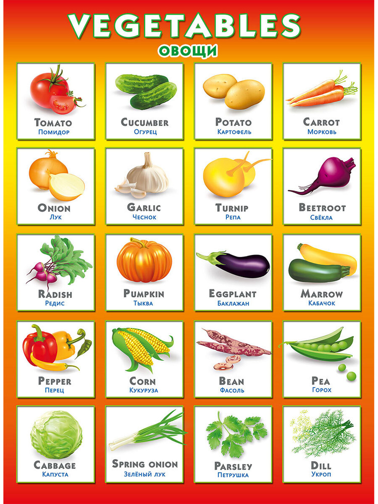 Плакат развивающий обучающий детский на английском языке "Vegetables. Овощи", А2, картон, 44х60 см #1