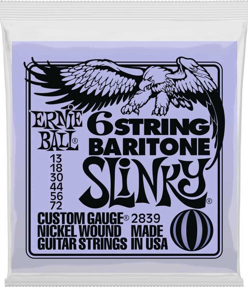 Ernie ball sale 008