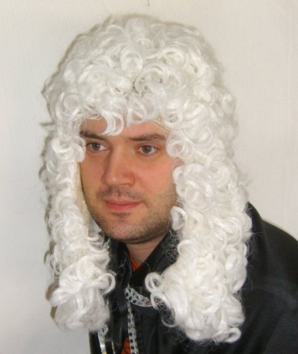 Карнавальный парик Судьи  #1