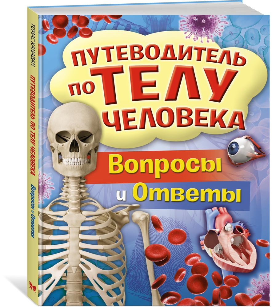 Путеводитель по телу человека. Вопросы и ответы | Канаван Томас - купить с  доставкой по выгодным ценам в интернет-магазине OZON (233975911)