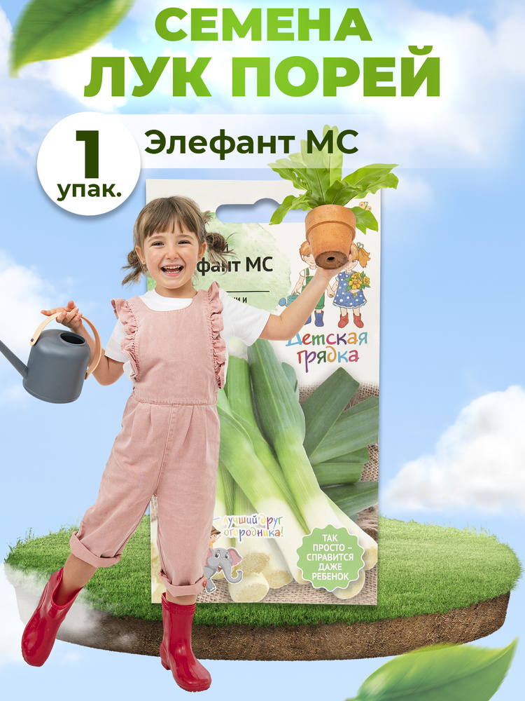 Лук зеленый порей Элефант МС 0,5 г Детская грядка / семена лука на зелень для проращивания / для посадки #1