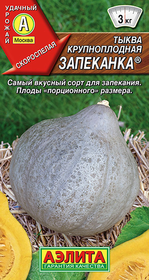 Семена Тыква крупноплодная Запеканка (1г) - Аэлита #1