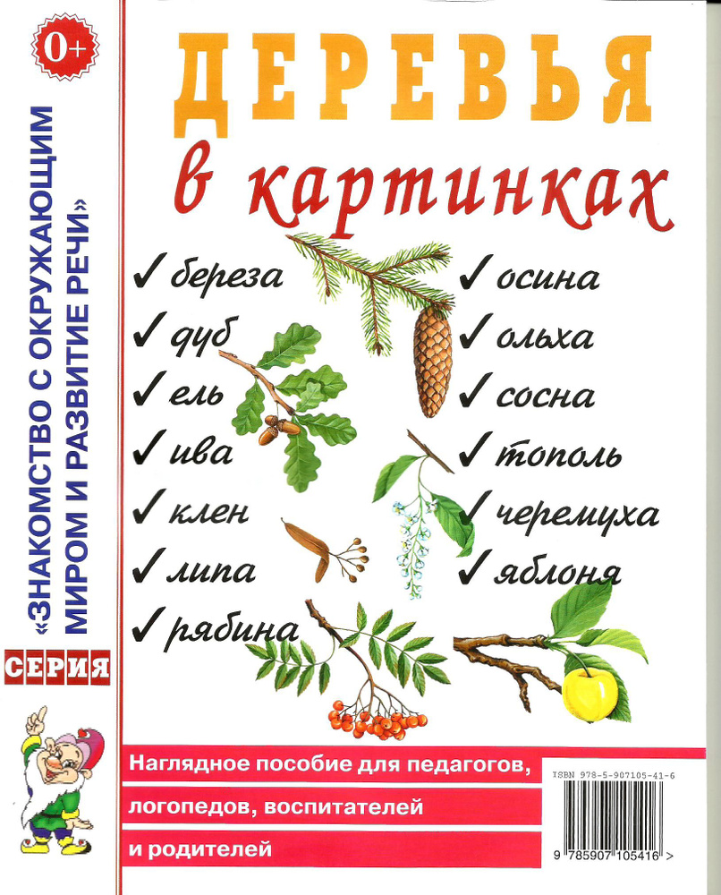 Деревья в картинках. Наглядное пособие для педагогов, логопедов,  воспитателей и родителей. - купить с доставкой по выгодным ценам в  интернет-магазине OZON (681967499)